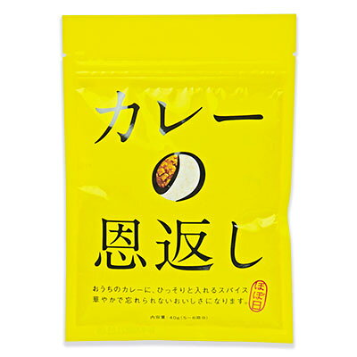 ほぼ日 カレーの恩返し 40g