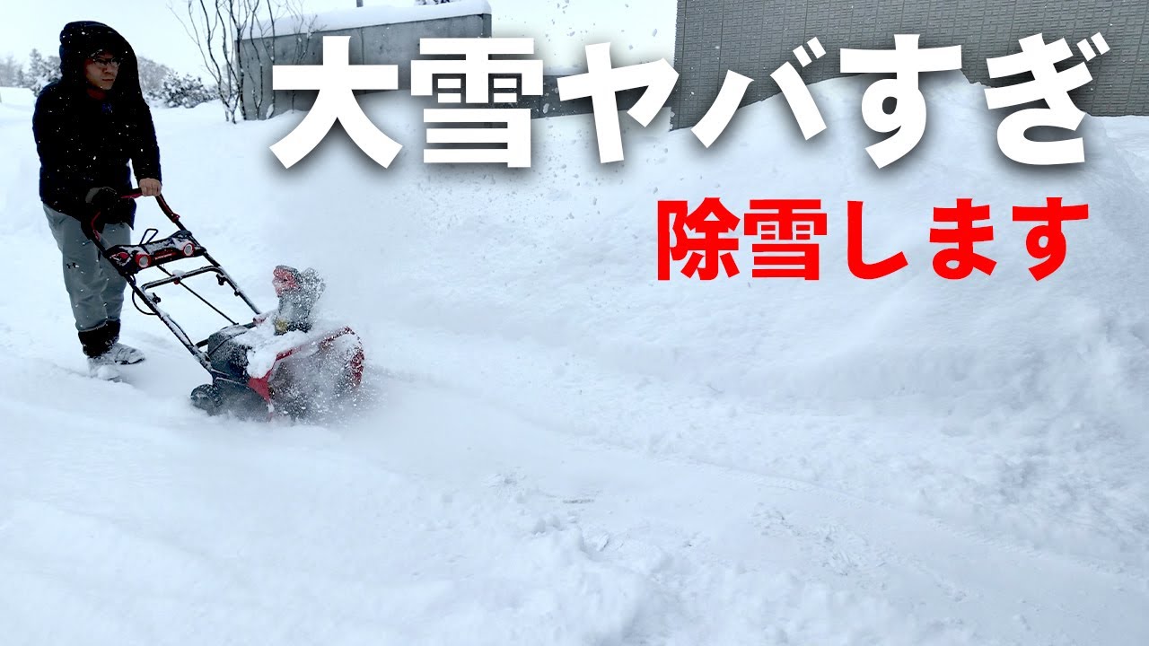大雪やばすぎない…??