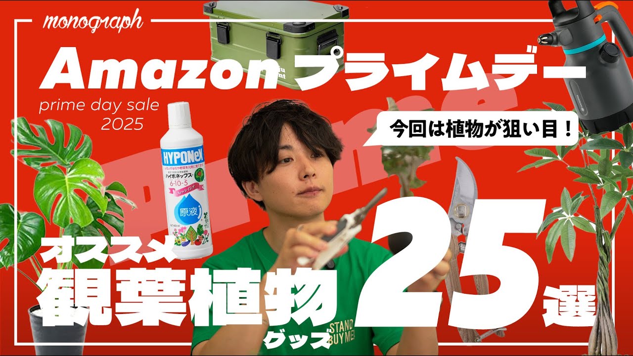 【Amazon プライムデー】今年だけ観葉植物グッズが”超お得”なのでマニアがオススメセール品25品を選定してみた