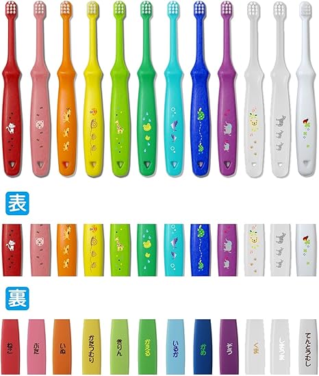 L ＡＰＩＳ： ラピス 乳幼児 歯ブラシ 歯科推奨 ハッピーカラー 12本入 動物柄 乳歯 安全設計 赤ちゃん 1歳 2歳 3歳 プレゼント 知育 いろえんぴつ ベビー アニマルエコ包装