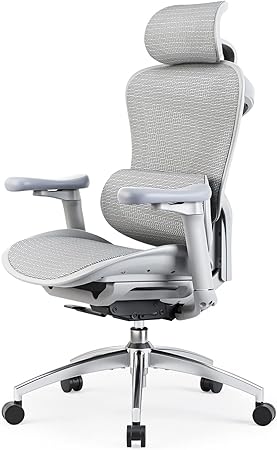 SIHOO Doro C300 オフィスチェア 椅子 デスクチェア 人間工学 テレワーク 疲れない 人体工学椅 メッシュチェア 4段階調整S字背もたれ 自動適応ランバーサポート 4D連動アームレスト 3Dヘッドレスト 約130度リクライニング 耐荷重135KG 事務椅子 通気性に優れ （海外版）グレー