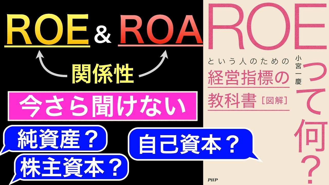 【投資家&ビジネスマン】自己資本と株主資本と純資産の違い、ROEとROAとの関係性についてもわかりやすく解説【教養】