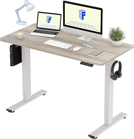 FLEXISPOT 電動式スタンディングデスク(幅120×奥行60,メモリー機能付き) 昇降デスク 高さ調節デスク パソコンデスク 人間工学 ゲーミングデスク EF1 セット (足(白)+天板(white wood), 120*60)