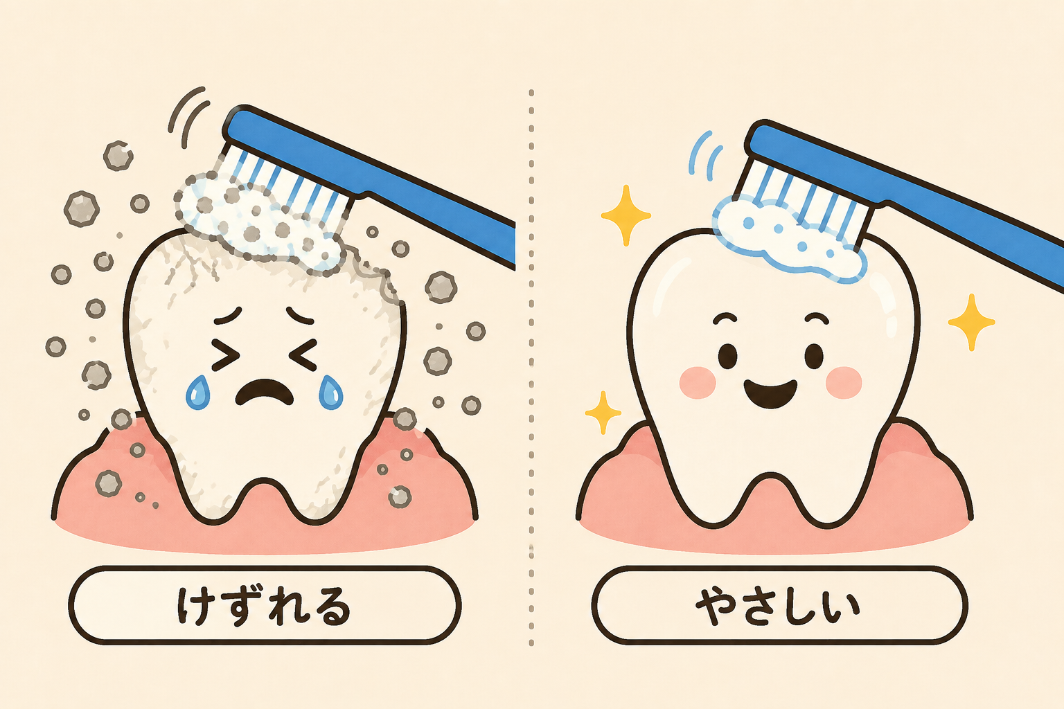 研磨剤が多いと歯の表面が削れる。低研磨は歯にやさしい