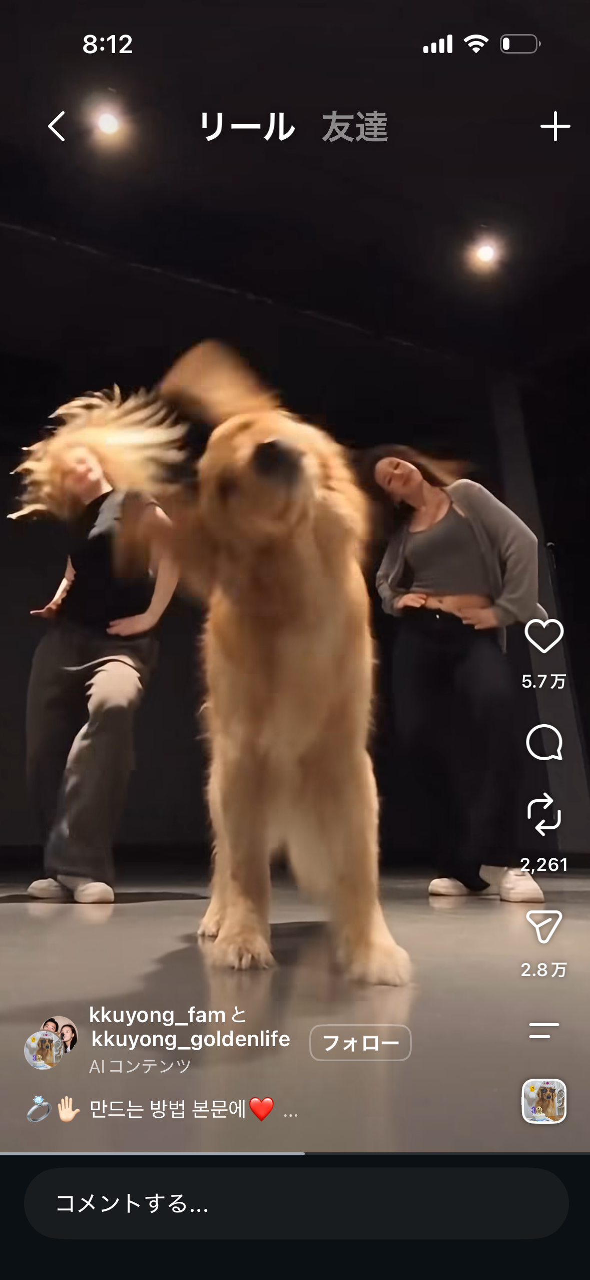二本足で立つ犬と、その左右にいる人が映ったInstagramリールの画面